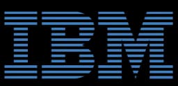 IBM hiring partner